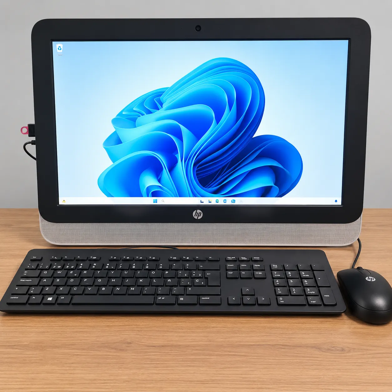 HP All-in-One 20-r101ns